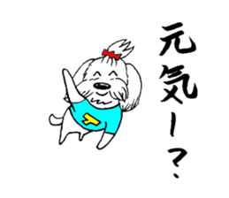 Maltese dog "Taro" mutters daily! sticker #6252643