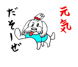Maltese dog "Taro" mutters daily! sticker #6252645