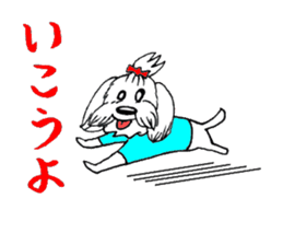 Maltese dog "Taro" mutters daily! sticker #6252647