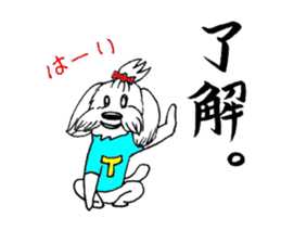 Maltese dog "Taro" mutters daily! sticker #6252648