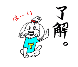 Maltese dog "Taro" mutters daily! sticker #6252648