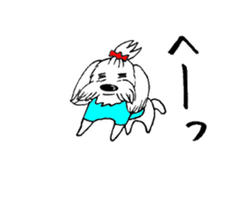 Maltese dog "Taro" mutters daily! sticker #6252652