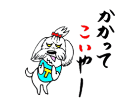 Maltese dog "Taro" mutters daily! sticker #6252654