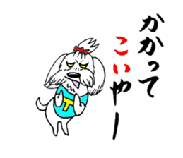 Maltese dog "Taro" mutters daily! sticker #6252654
