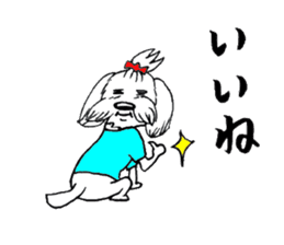 Maltese dog "Taro" mutters daily! sticker #6252656