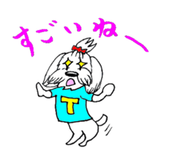 Maltese dog "Taro" mutters daily! sticker #6252658