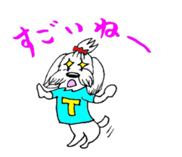 Maltese dog "Taro" mutters daily! sticker #6252658