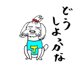 Maltese dog "Taro" mutters daily! sticker #6252663