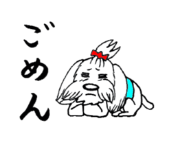 Maltese dog "Taro" mutters daily! sticker #6252670