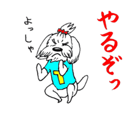 Maltese dog "Taro" mutters daily! sticker #6252671