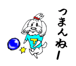 Maltese dog "Taro" mutters daily! sticker #6252674