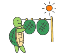 life of a turtle sticker #6254603