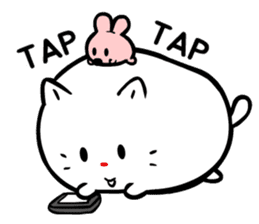 Plump baby cat 'PPOPO' sticker #6255384