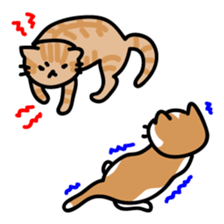 BROWN BROTHERS sticker #6256286