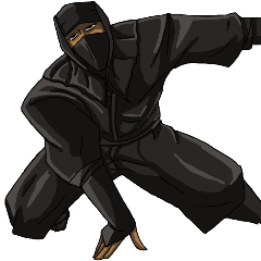 Cool ninja