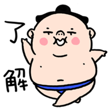EVERYDAY SUMO sticker #6256823