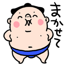 EVERYDAY SUMO sticker #6256824