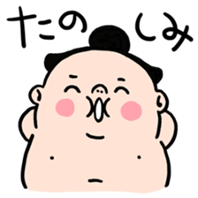 EVERYDAY SUMO sticker #6256840