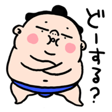 EVERYDAY SUMO sticker #6256841