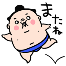 EVERYDAY SUMO sticker #6256842