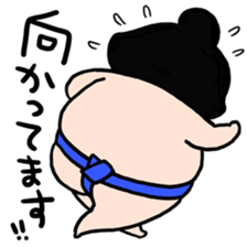 EVERYDAY SUMO sticker #6256848