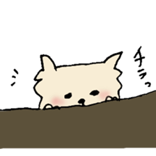 Pomeranian of foo sticker #6257597