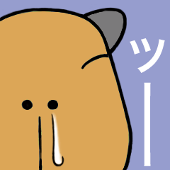 Daily Life of  of a Stray  Capybara (2)