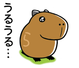 Daily Life of  of a Stray  Capybara (2) sticker #6257694