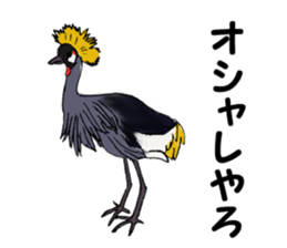 Birds of Kansai dialect sticker #6259299