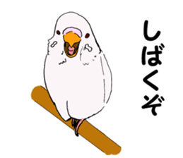 Birds of Kansai dialect sticker #6259301