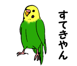 Birds of Kansai dialect sticker #6259302