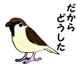 Birds of Kansai dialect sticker #6259306