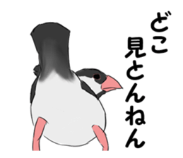 Birds of Kansai dialect sticker #6259308