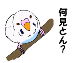 Birds of Kansai dialect sticker #6259309