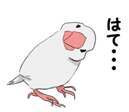 Birds of Kansai dialect sticker #6259312