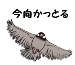Birds of Kansai dialect sticker #6259313