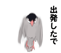 Birds of Kansai dialect sticker #6259314