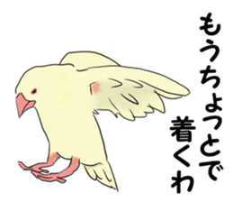 Birds of Kansai dialect sticker #6259315
