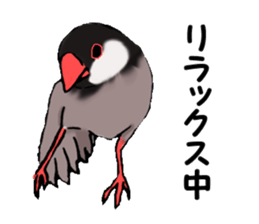 Birds of Kansai dialect sticker #6259316