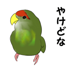 Birds of Kansai dialect sticker #6259319