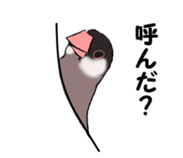 Birds of Kansai dialect sticker #6259327