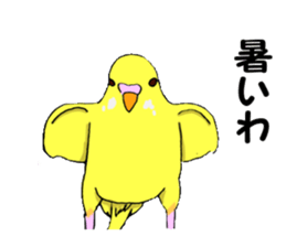 Birds of Kansai dialect sticker #6259328