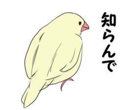 Birds of Kansai dialect sticker #6259330