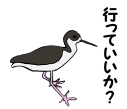 Birds of Kansai dialect sticker #6259335