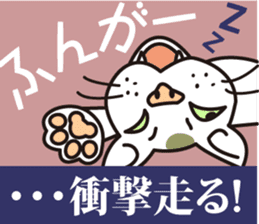 The cat WHITERUM tells his mind. sticker #6259636