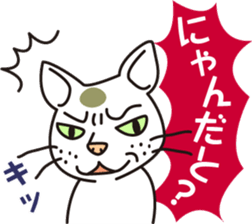 The cat WHITERUM tells his mind. sticker #6259648