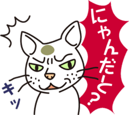 The cat WHITERUM tells his mind. sticker #6259648