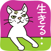 The cat WHITERUM tells his mind. sticker #6259654