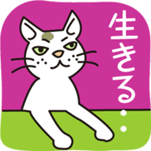 The cat WHITERUM tells his mind. sticker #6259654