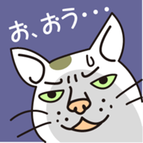 The cat WHITERUM tells his mind. sticker #6259660